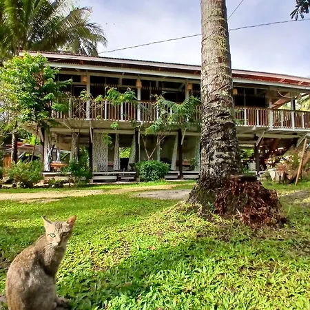 Bohol Hammock Hostel-3